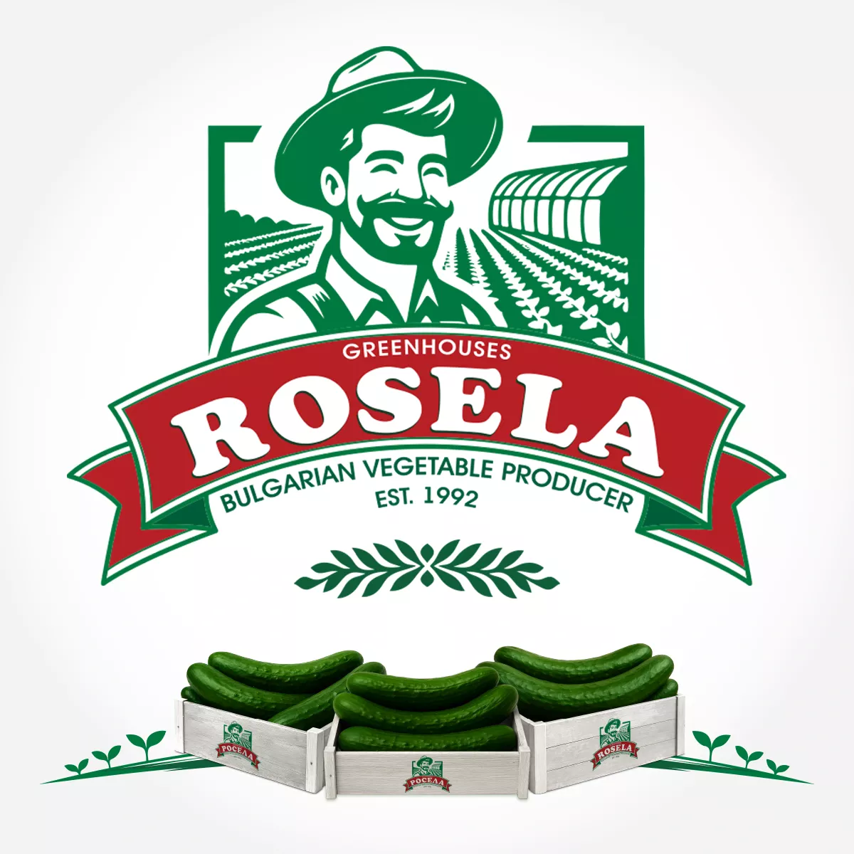 Rosela AD Branding