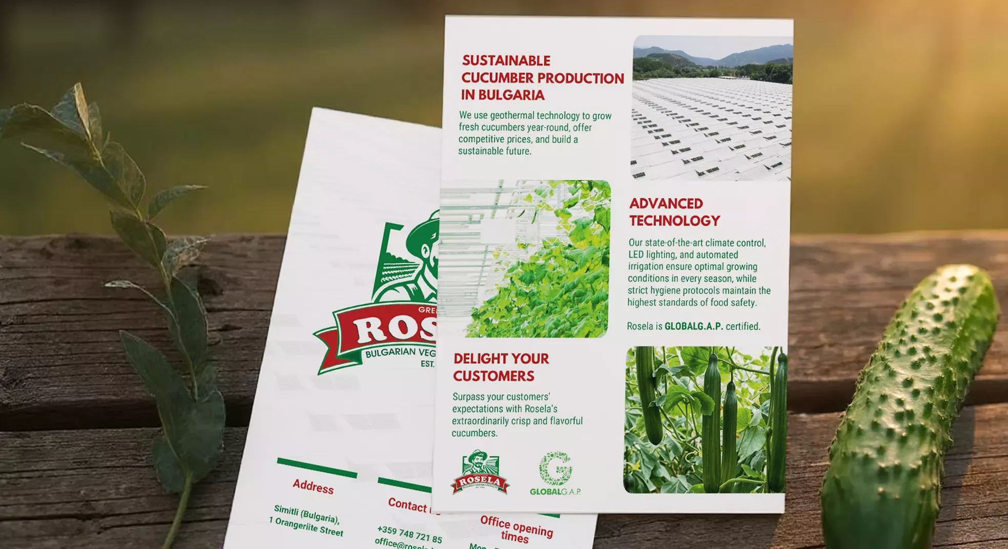 Rosela Flyer Design