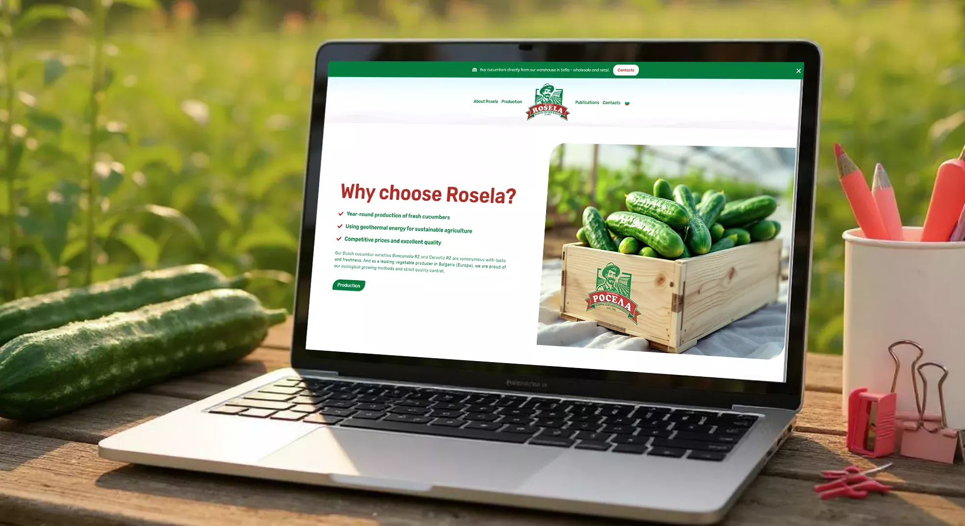 Rosela Website Development